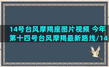 14号台风摩羯座图片视频 今年第十四号台风摩羯最新路线/14号台风摩羯座图片视频 今年第十四号台风摩羯最新路线-我的网站